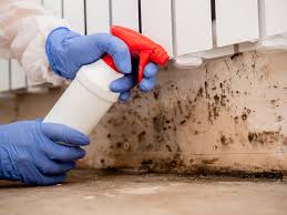 Best Environmental Consulting for Mold Prevention  in Smith Mills, MA